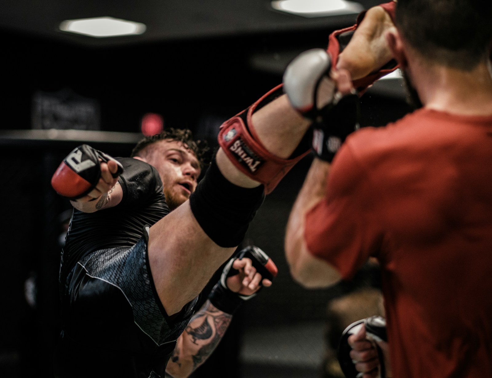 Martial arts training